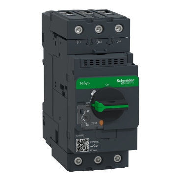 GUARDAMOTOR TESYS DECA, MARCO 3,3 P, 70-80 A, TERMOMAGNETICO, TERMINALES EVERLINK- SCHNEIDER ELECTRIC | SCHNEIDER | GV3P80
